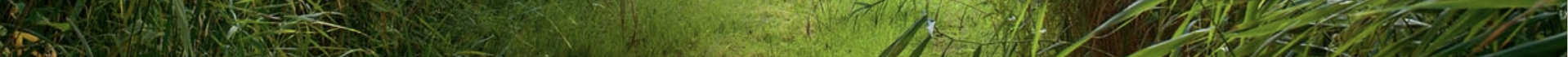 Image banner - cosmetic