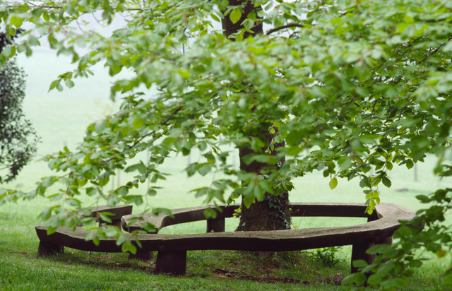 spiral bench by Alison Crowther - photo by Jacqui Hurst